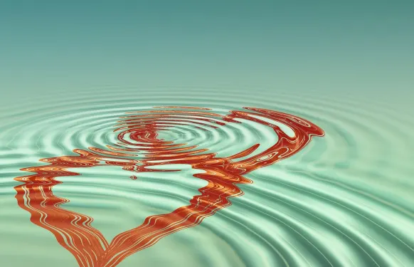 קזינו ברבדוס בינגו תמיכה